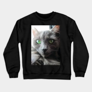 Stunning green eyed grey cat Crewneck Sweatshirt